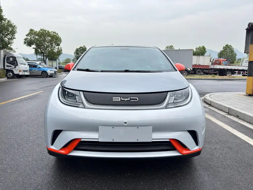 BYD Dolphin — миниатюра 2