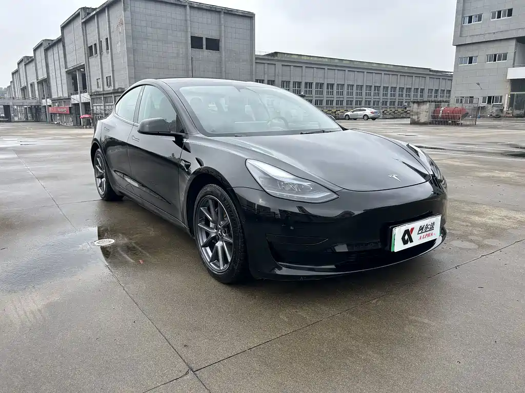 Tesla Model 3 — миниатюра 3