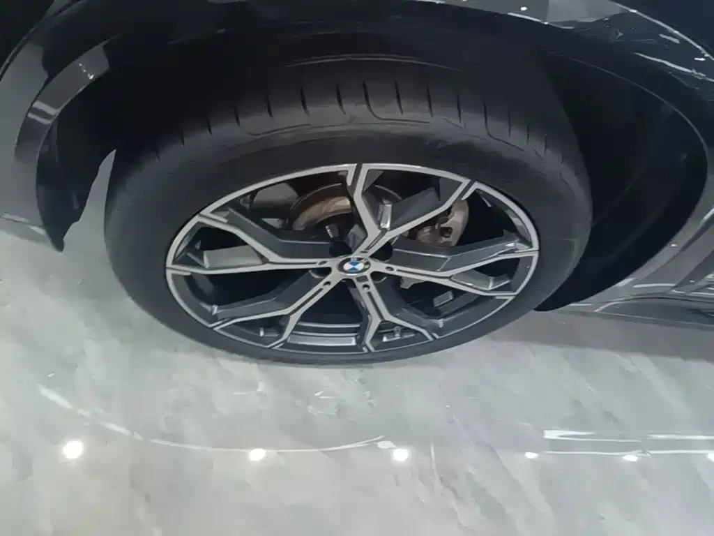 BMW X5 — миниатюра 23