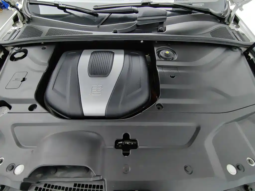 BYD Tang New Energy — миниатюра 6