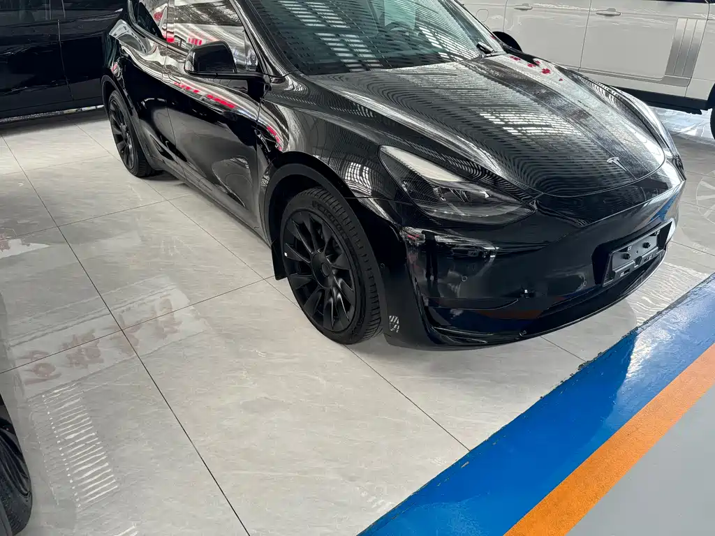 Tesla Model Y — миниатюра 3