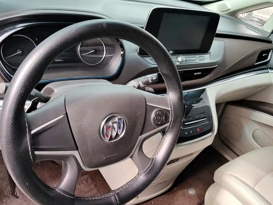Buick GL8 — миниатюра 12