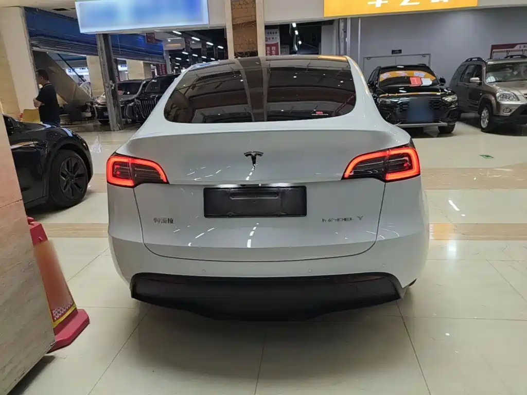 Tesla Model Y — миниатюра 6
