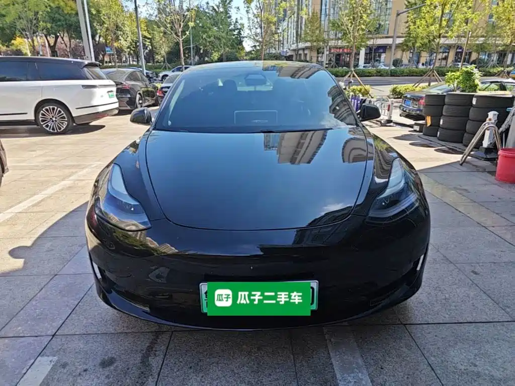 Tesla Model 3 — миниатюра 3