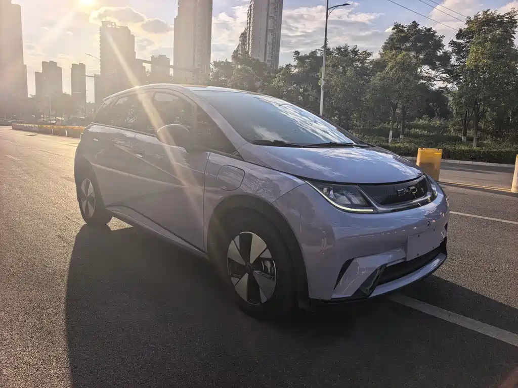 BYD Dolphin — миниатюра 2