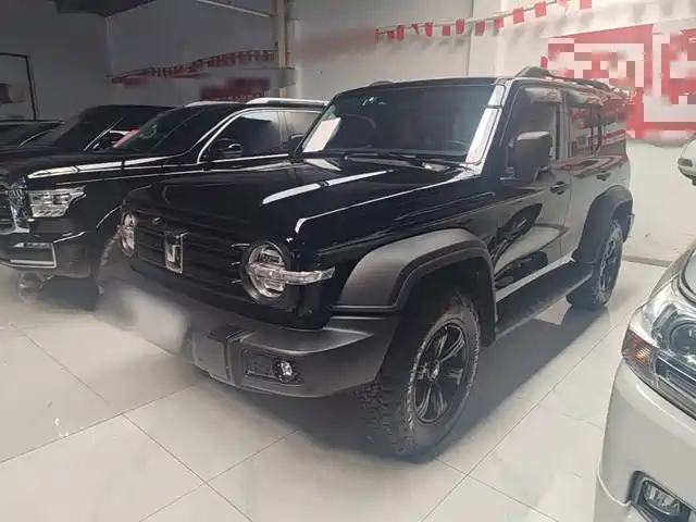 2023 TANK 300