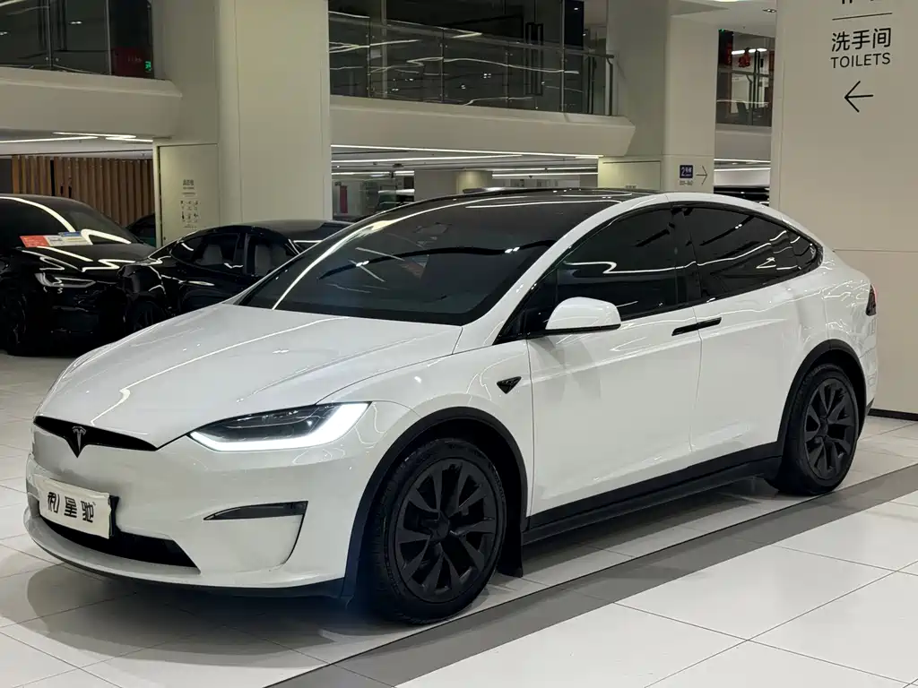 Tesla Model X — миниатюра 19