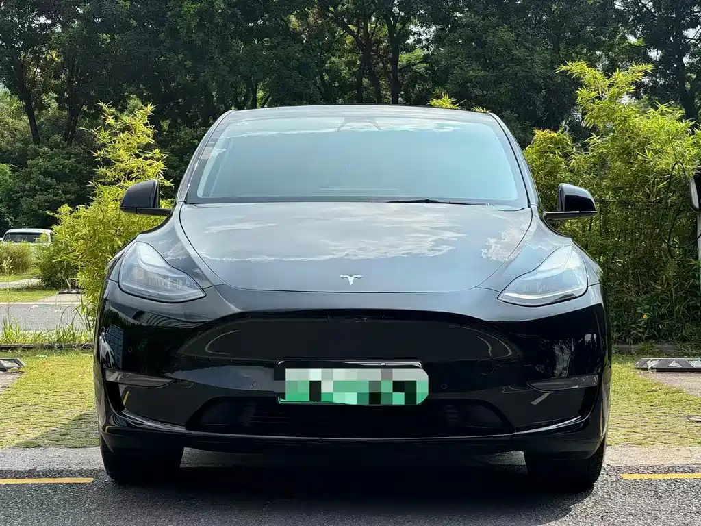Tesla Model Y — миниатюра 2