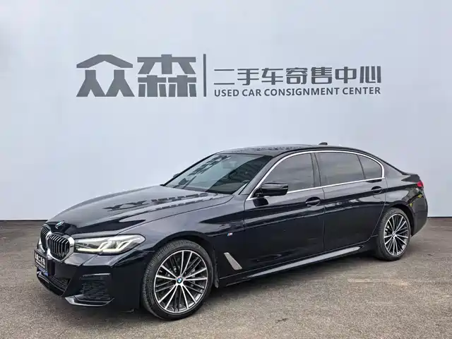 BMW 5 SERIES