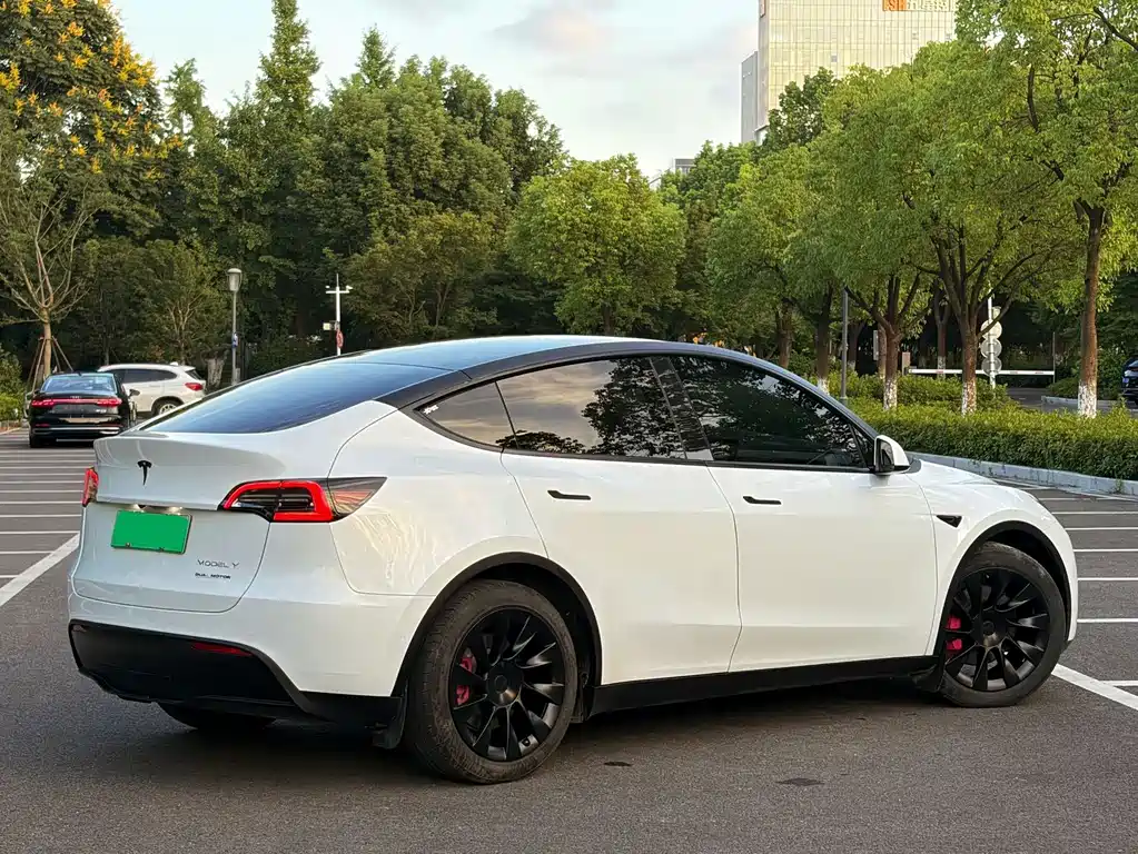 Tesla Model Y — миниатюра 3