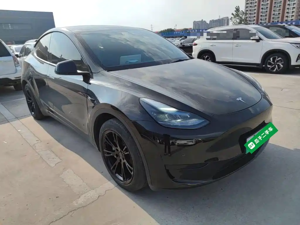 Tesla Model Y — миниатюра 4