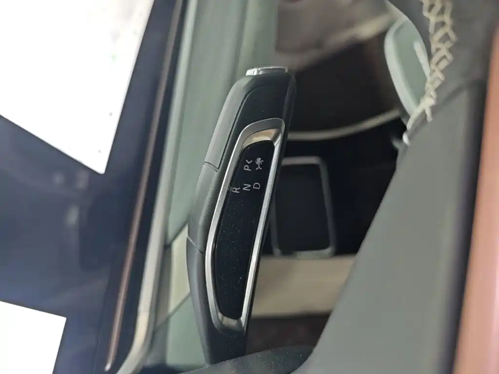 MAXUS Dajia 9 — миниатюра 14