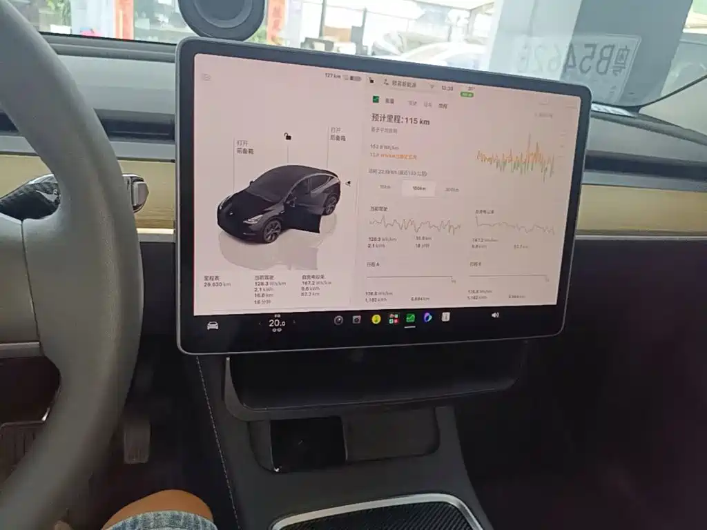 Tesla Model Y — миниатюра 13