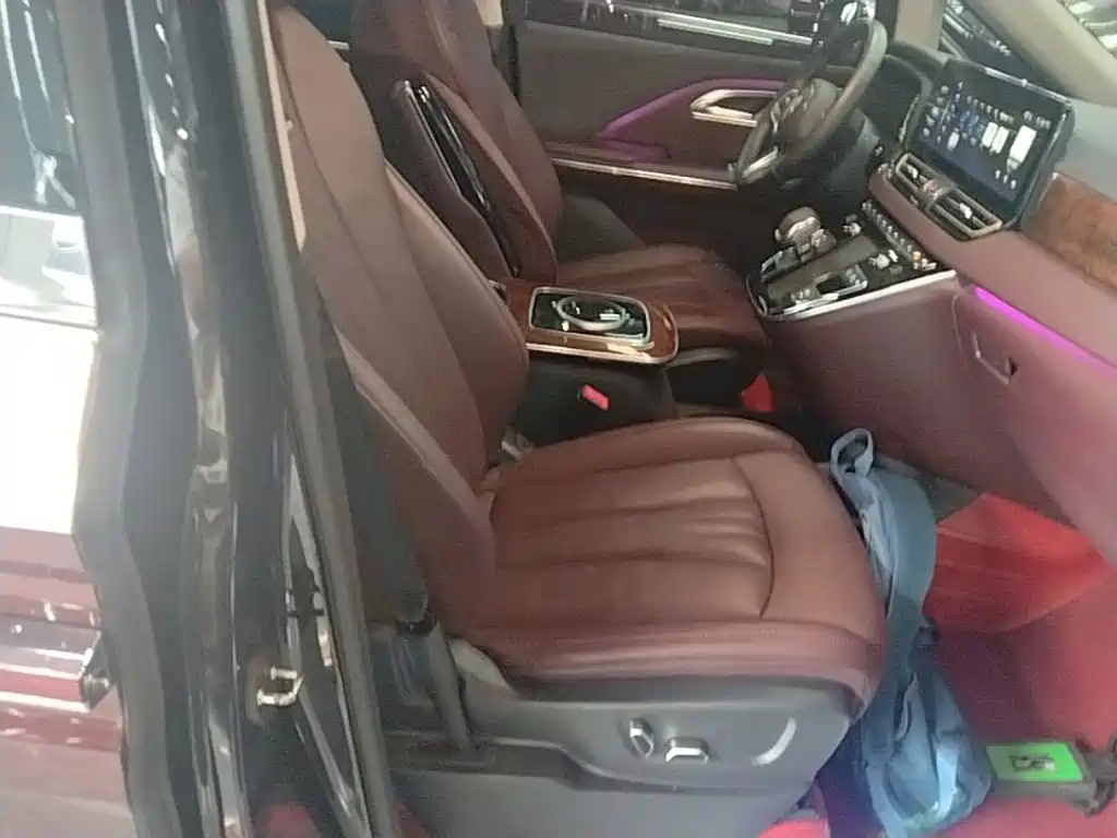 Hongqi Hongqi HQ9 — миниатюра 25