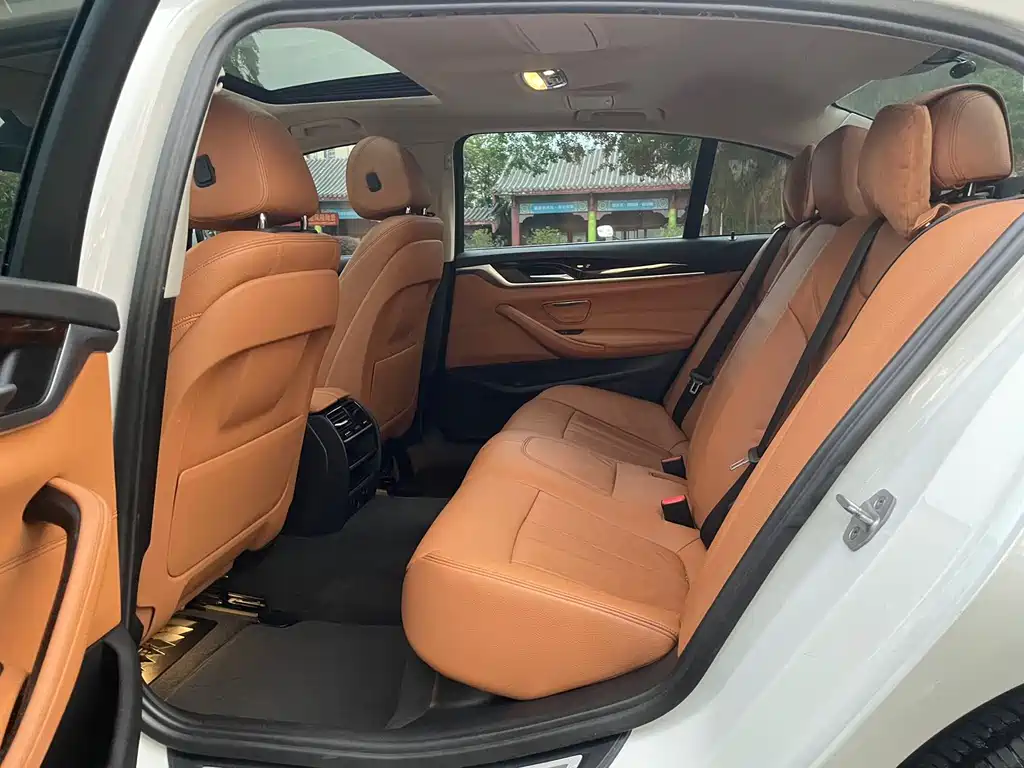 BMW 5 Series 5 2018 528Li