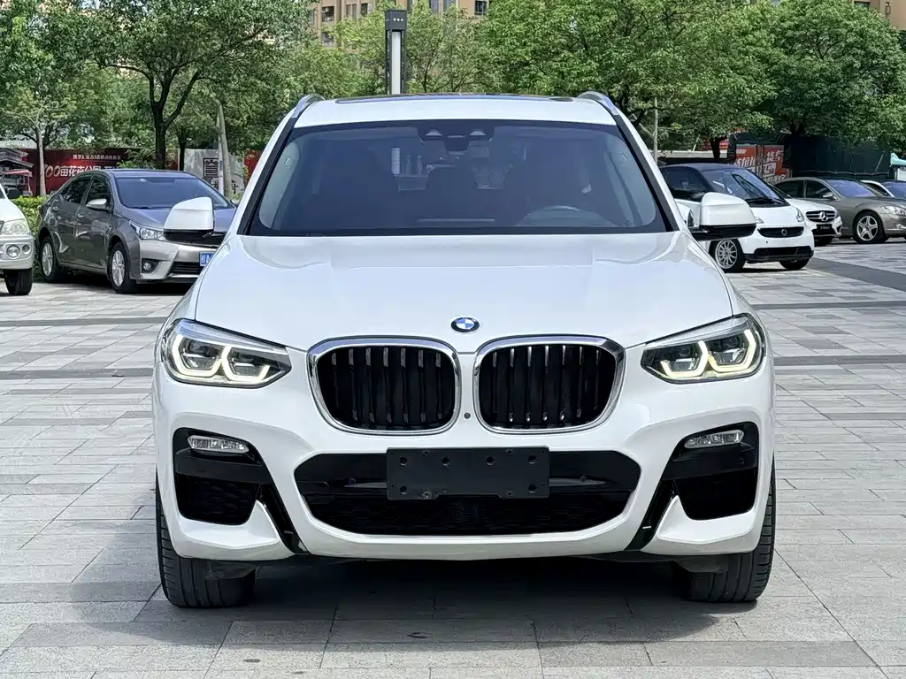 BMW X3 2018 xDrive30i Lead M Sport V