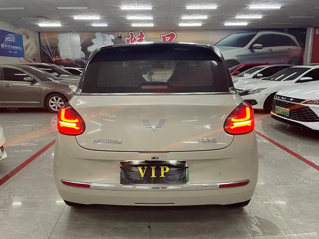 Wuling Binguo 2024 333km