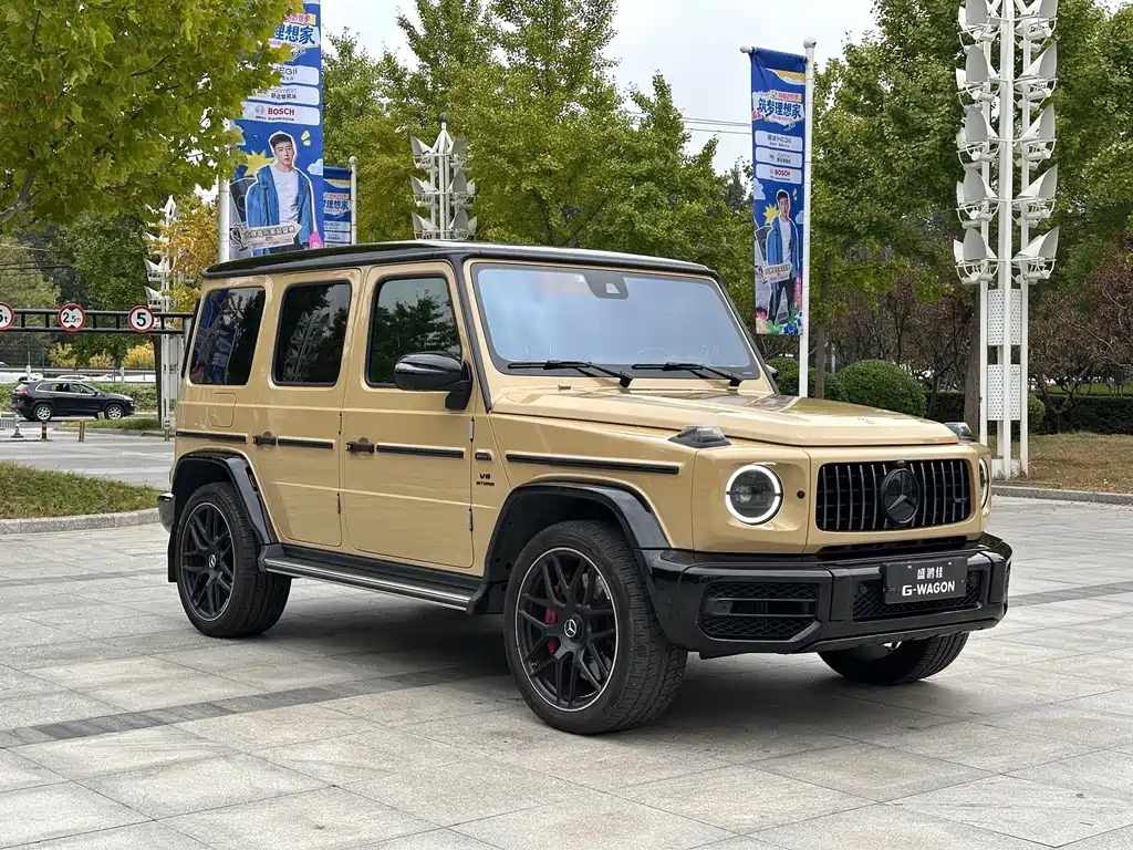 Mercedes-Benz G-Class AMG — миниатюра 6