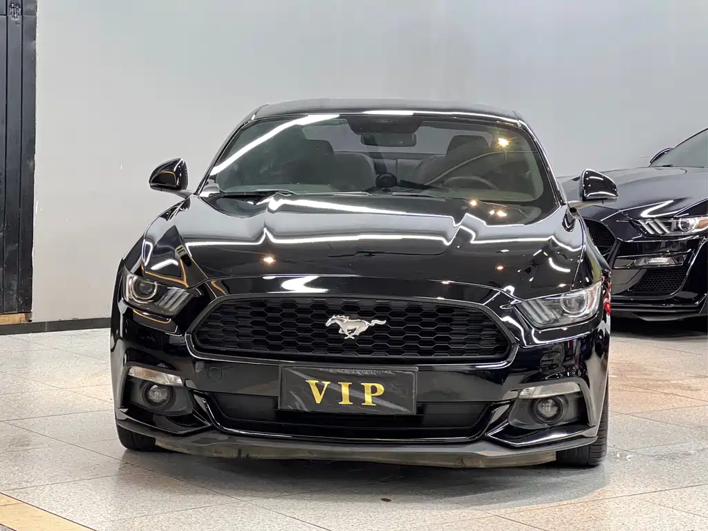 Ford Mustang — миниатюра 2