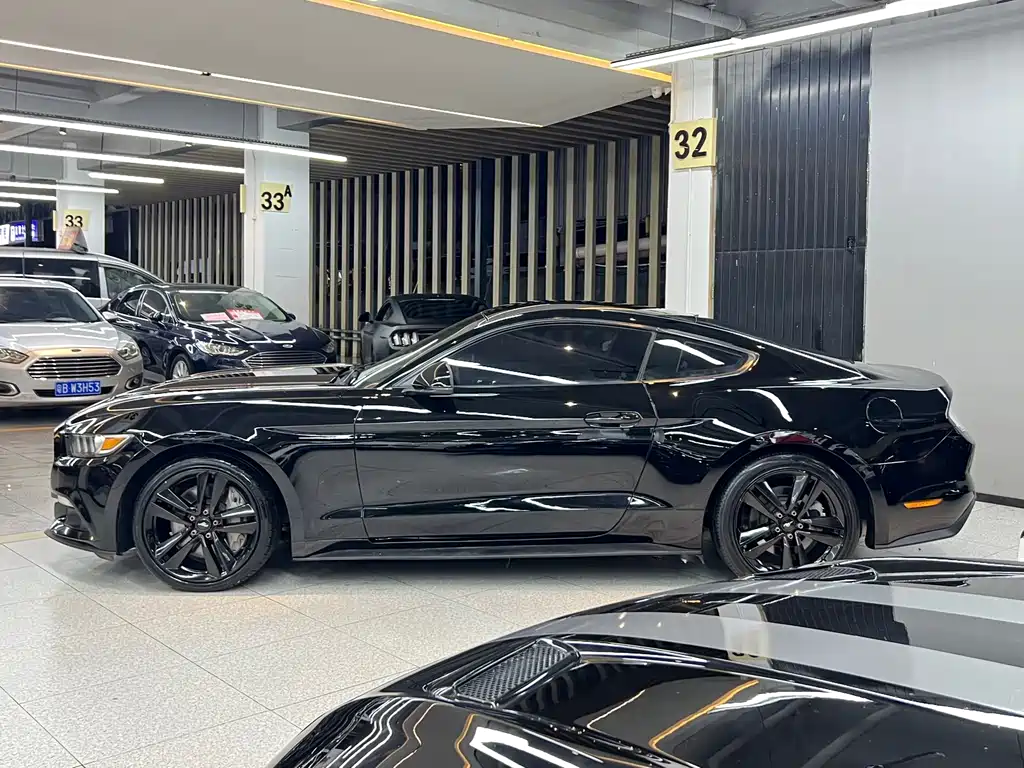Ford Mustang — миниатюра 3