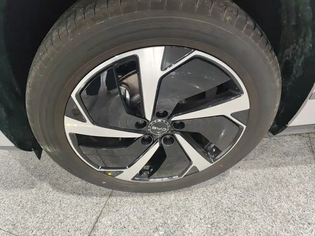 BYD Sealion 06 — миниатюра 25