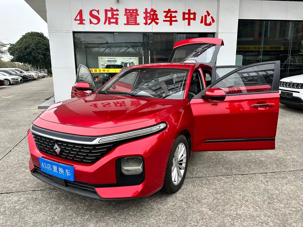 BAOJUN RC 5