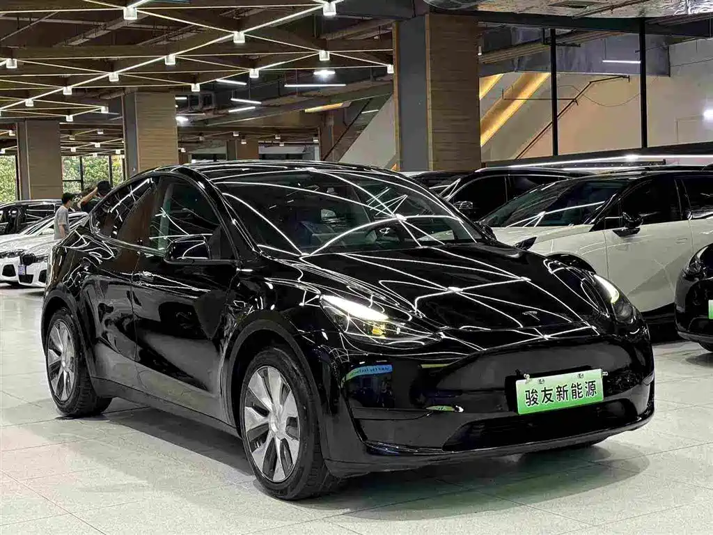 Tesla Model Y — миниатюра 10