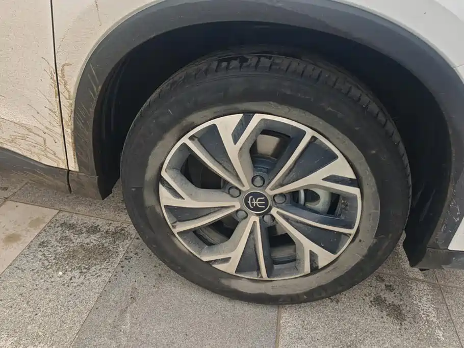 BYD Pro New Energy — миниатюра 6