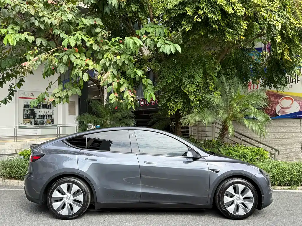 Tesla Model Y — миниатюра 8