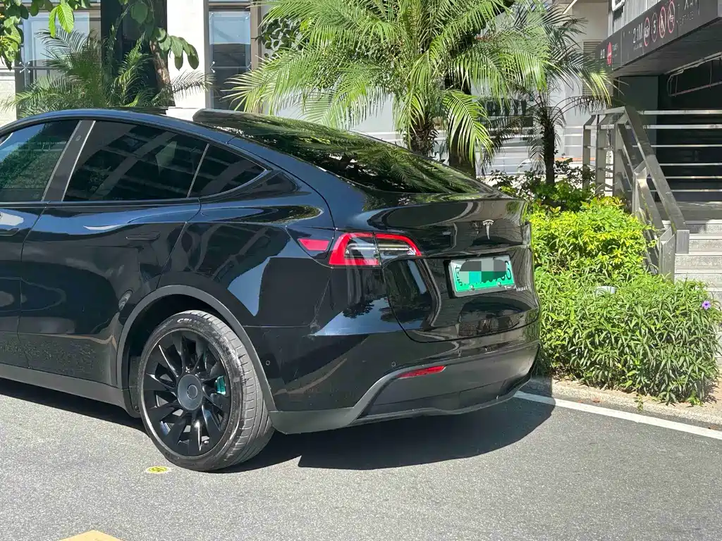 Tesla Model Y — миниатюра 5