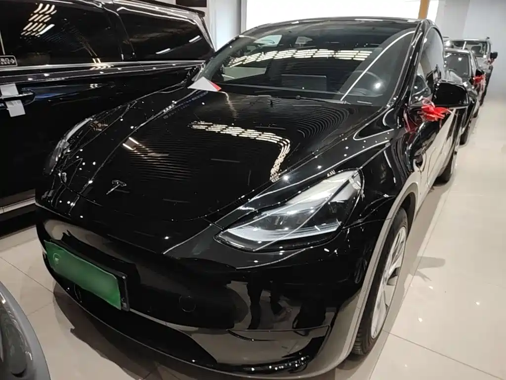 Tesla Model Y — миниатюра 3