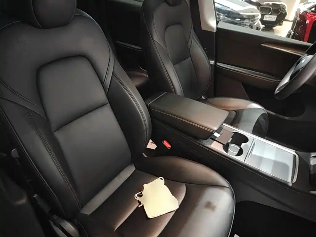 Tesla Model Y — миниатюра 25