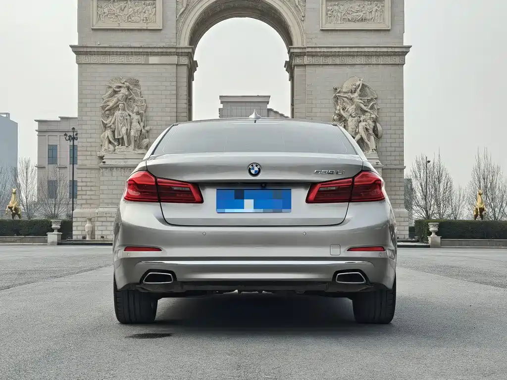 BMW 5 Series 5 2019 530Li Premium Luxury