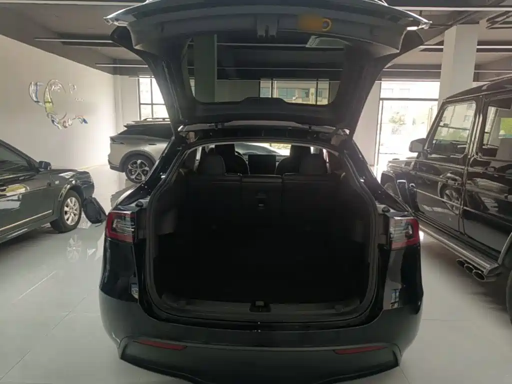 Tesla Model Y — миниатюра 19