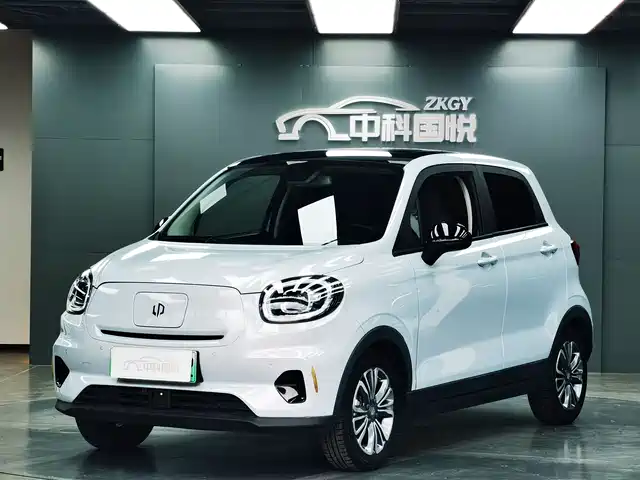 2021 Leapmotor T03