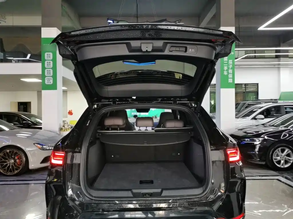 BYD PLUS New Energy — миниатюра 19