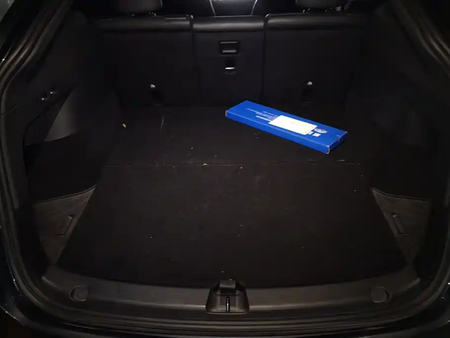 Tesla Model Y — миниатюра 4