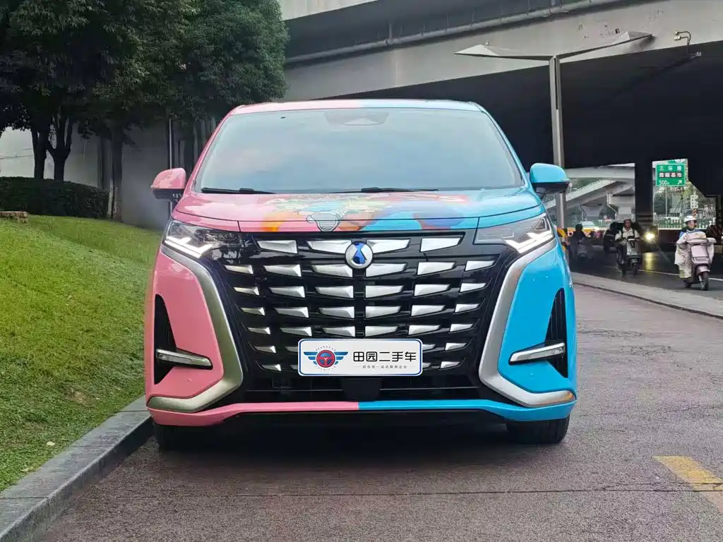 Denza Denza D9 — миниатюра 2