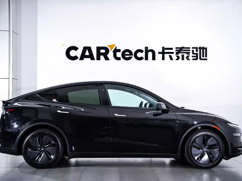 Tesla Model Y — миниатюра 2
