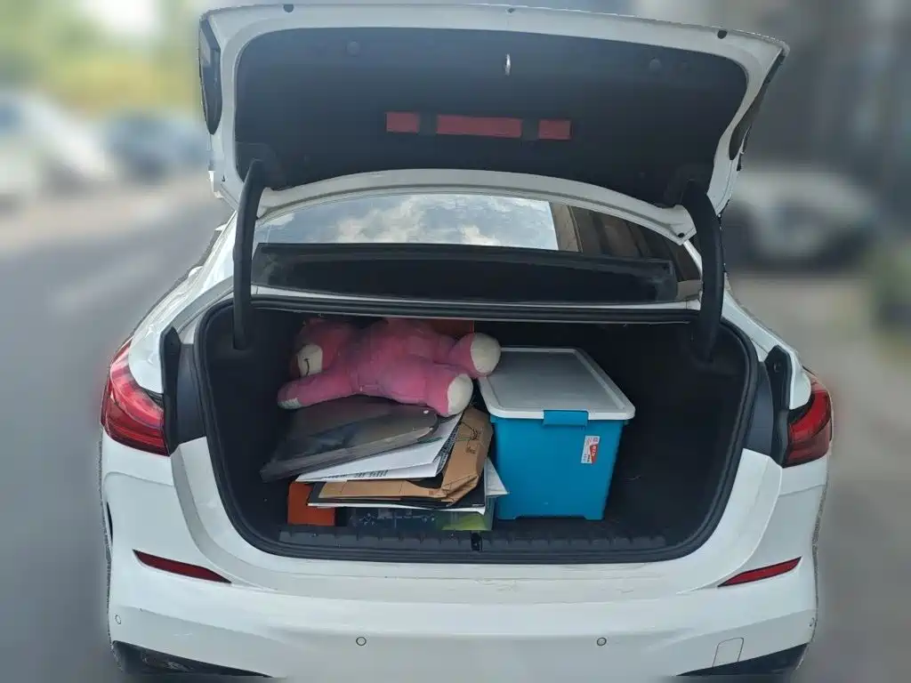 BMW 2 Series (Import) — миниатюра 20