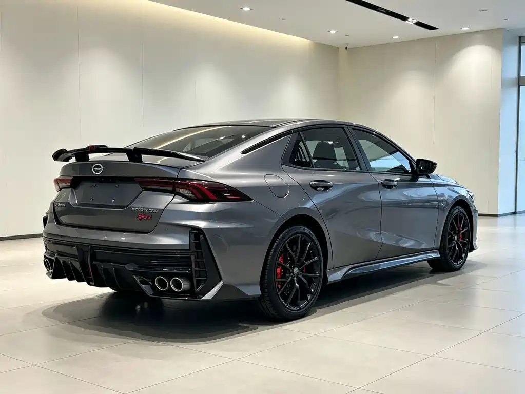 GAC Motor Shadow Leopard — миниатюра 7