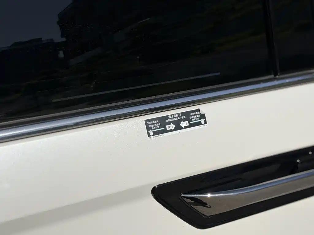 Honda Elysion — миниатюра 11