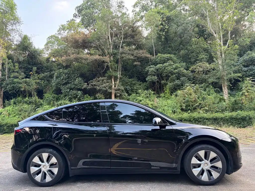 Tesla Model Y — миниатюра 6