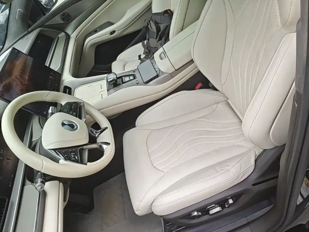 Denza Denza N7 — миниатюра 15