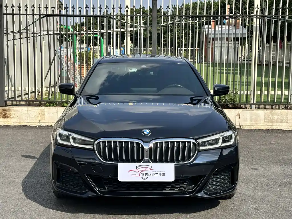 BMW 5 Series — миниатюра 2