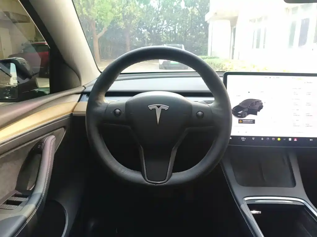 Tesla Model Y — миниатюра 11