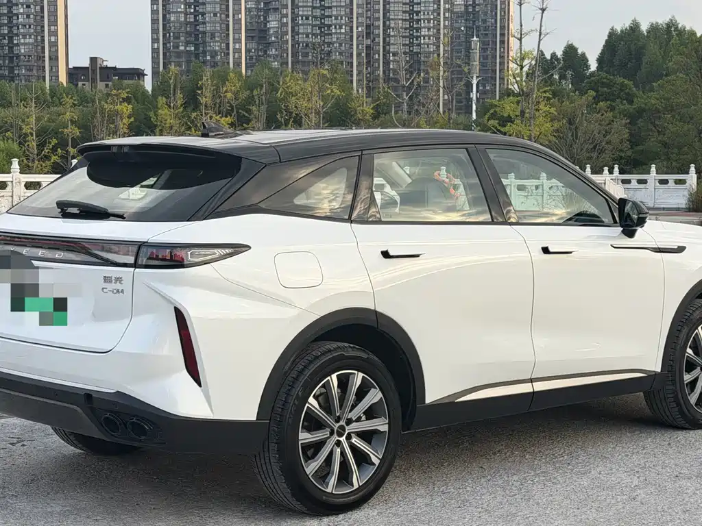 Exeed Yaoguang C-DM — миниатюра 6