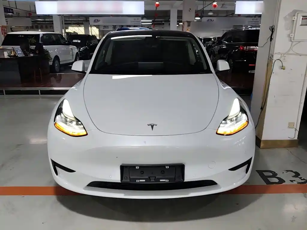 Tesla Model Y — миниатюра 3