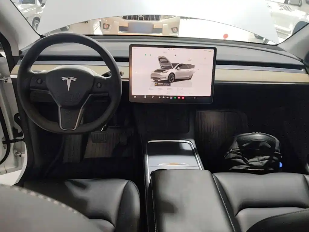 Tesla Model Y — миниатюра 10