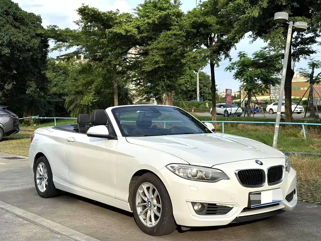 BMW 2 Series 2 2015 218i